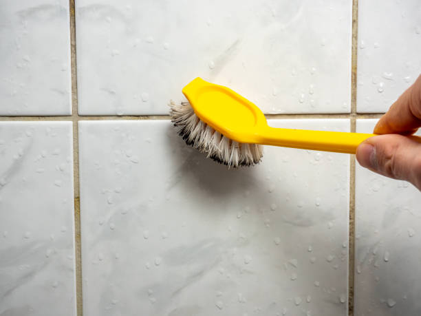 Best Preventive Mold Services in Dodgeville, WI